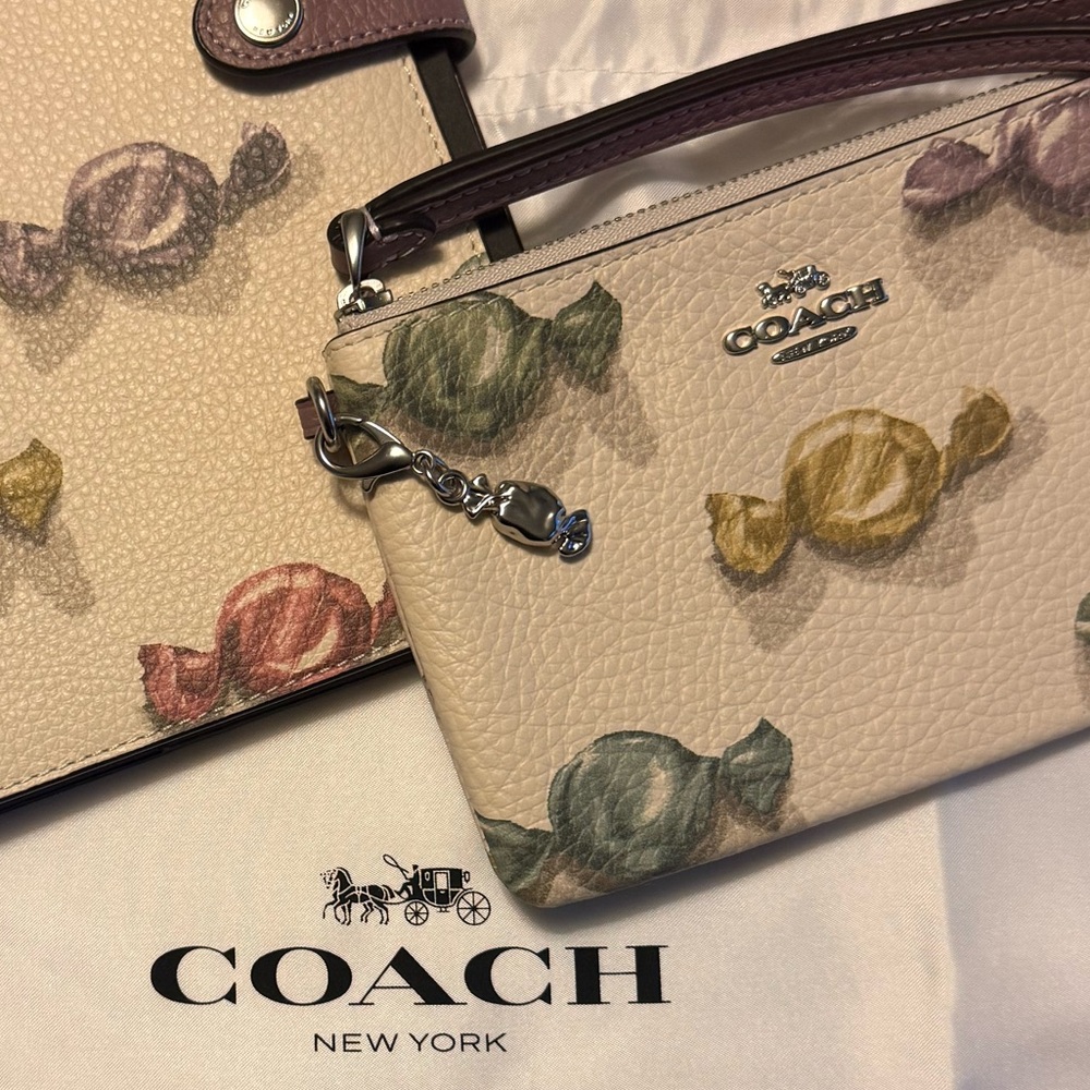 Coach Candy Notebook and Wristlet